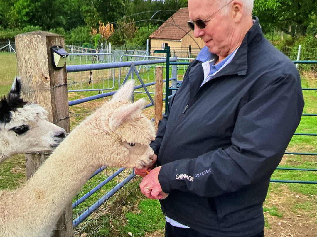 Reservoir Alpacas-Chard必去景点