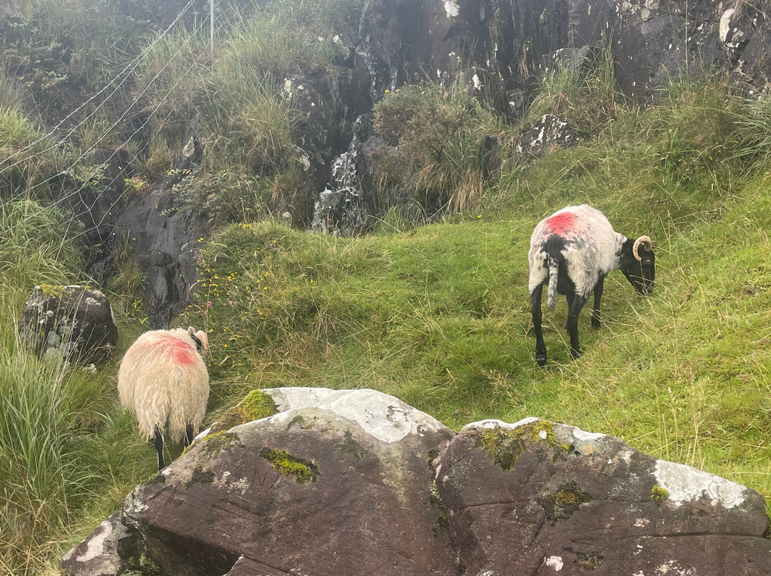 Overland Ireland-戈尔韦必去景点