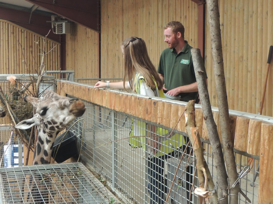 Wingham Wildlife Park-Wingham必去景点