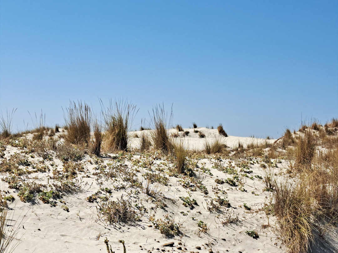 Spiaggia Porto Pino-Sant'Anna Arresi必去景点