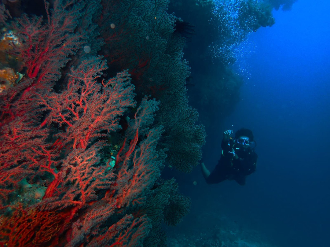 Himmafushi Scuba Adventure-Himmafushi Island必去景点