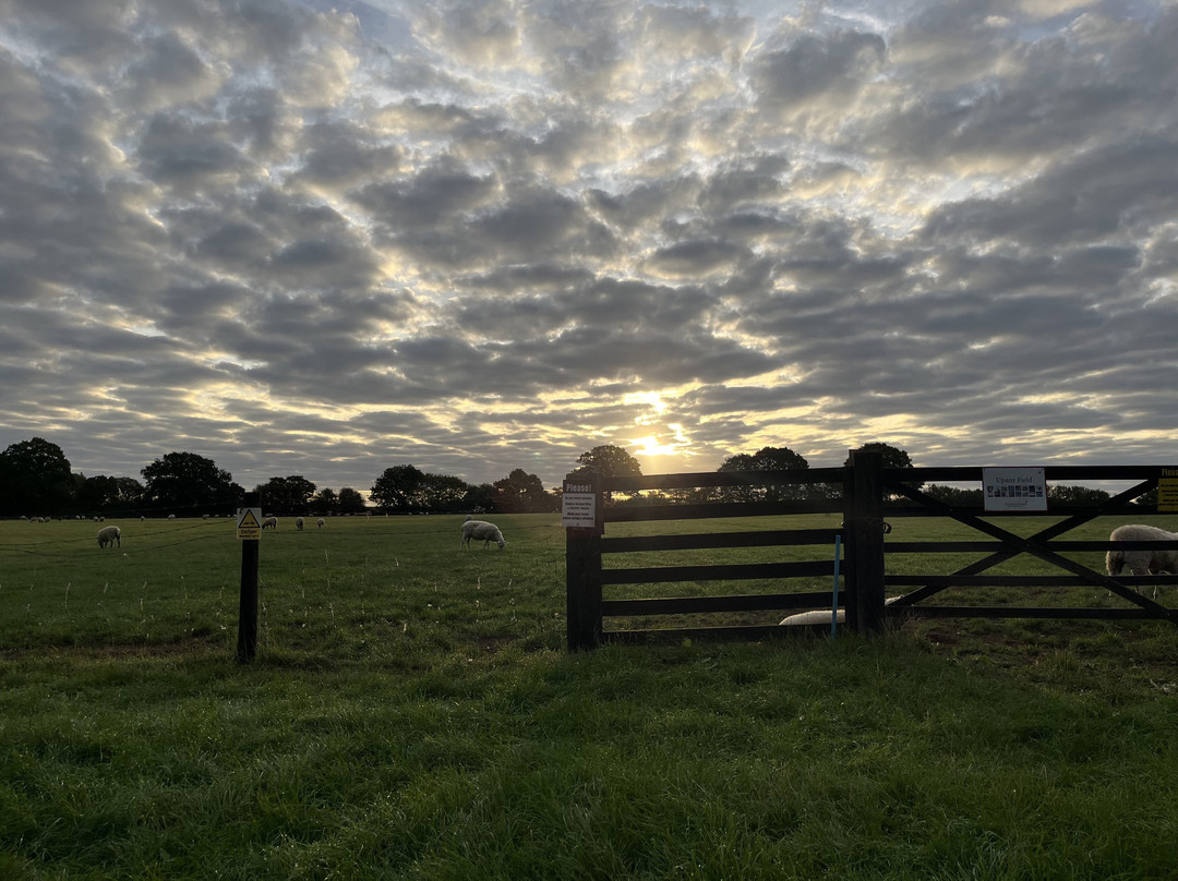 Church Farm Ardeley-斯蒂夫尼奇必去景点