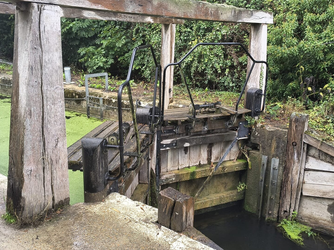 Flatford Mill-East Bergholt必去景点
