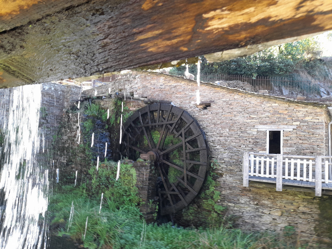 Museo Molinos Mazonovo-Taramundi必去景点