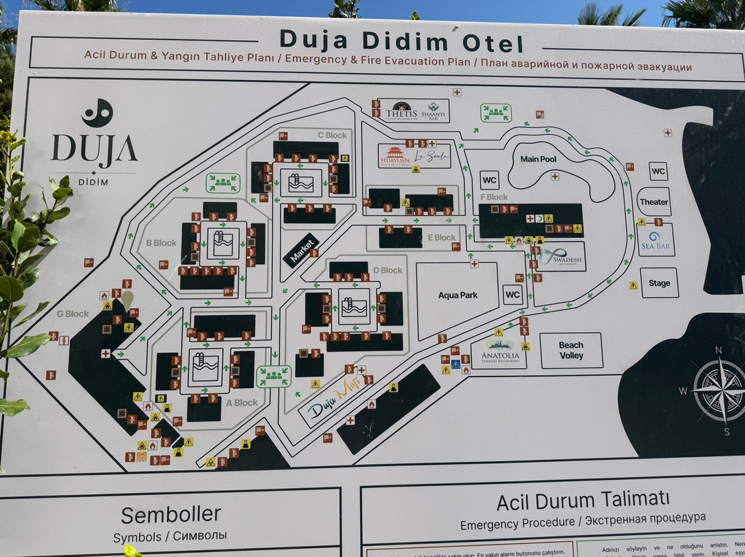 Duja Didim主图