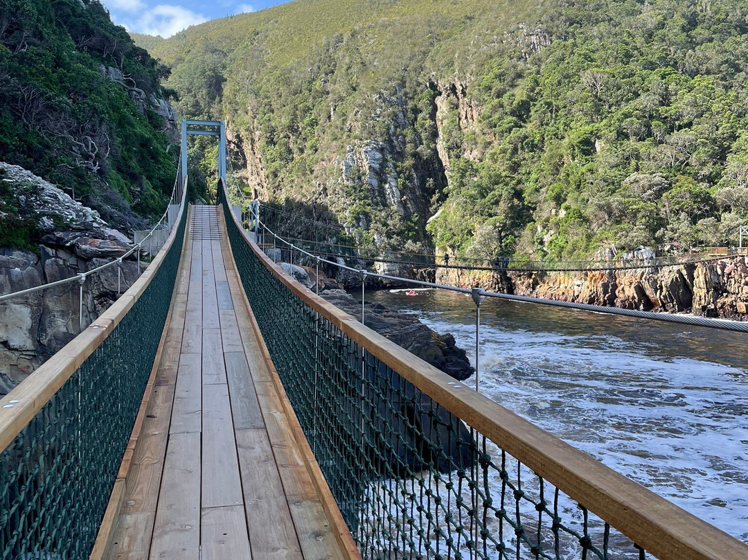 风暴河悬索桥-Tsitsikamma National Park必去景点