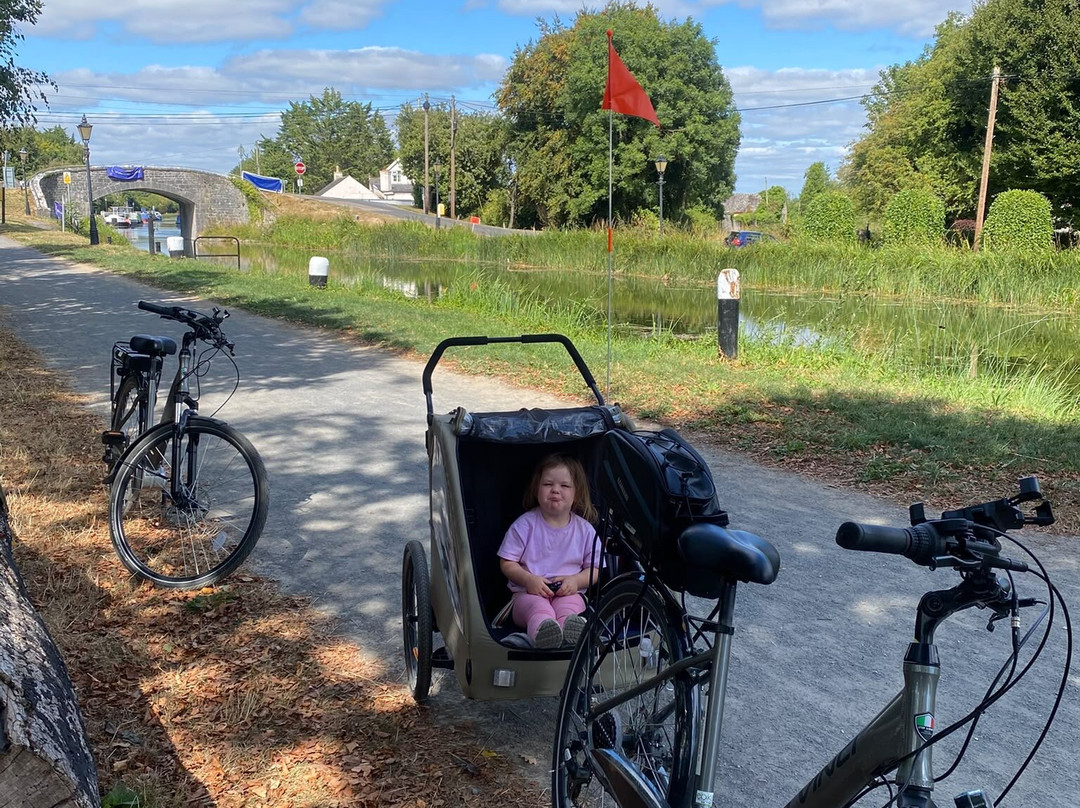 Kildare Bike hire-Athy必去景点