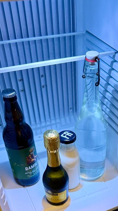 毕金希尔酒店-旅行者