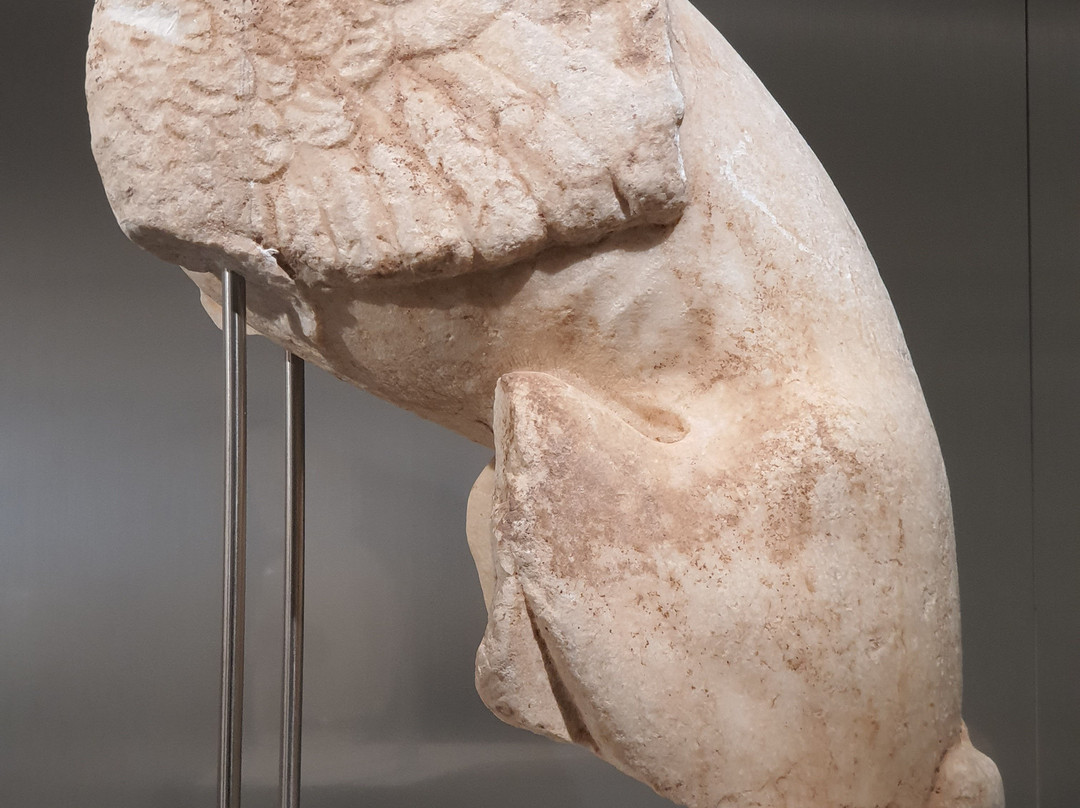 Archaeological Museum of Argos-Argos必去景点