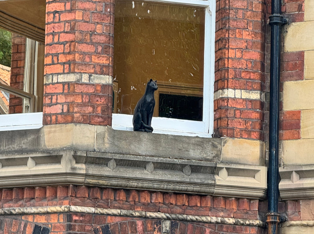 York Cat Trail-约克必去景点