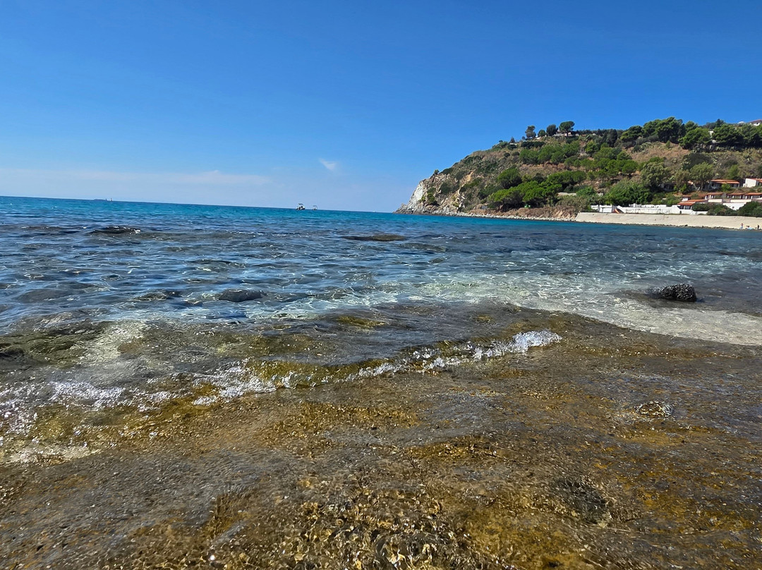 Hotel Villaggio Pineta Petto Bianco主图