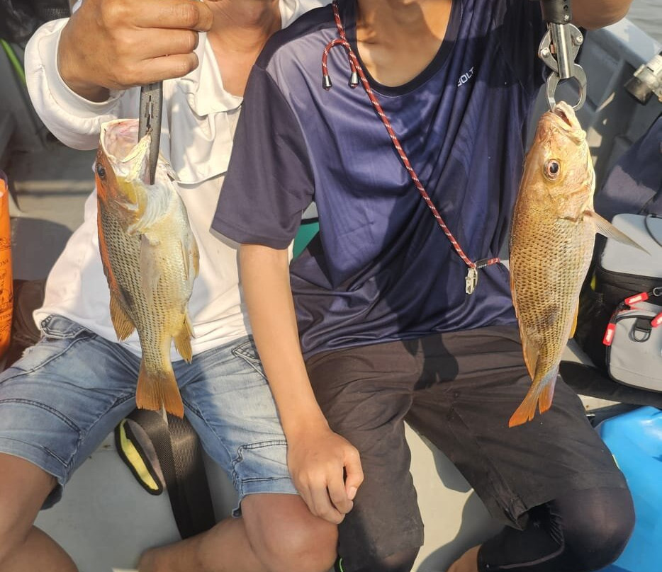 A-team My Fishing Charter