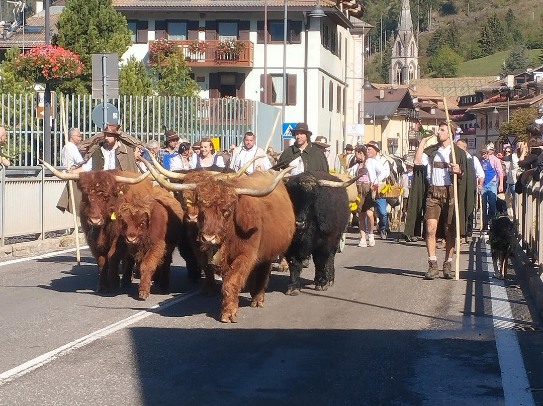 Desmontegada De Le Vache-普雷达佐必去景点