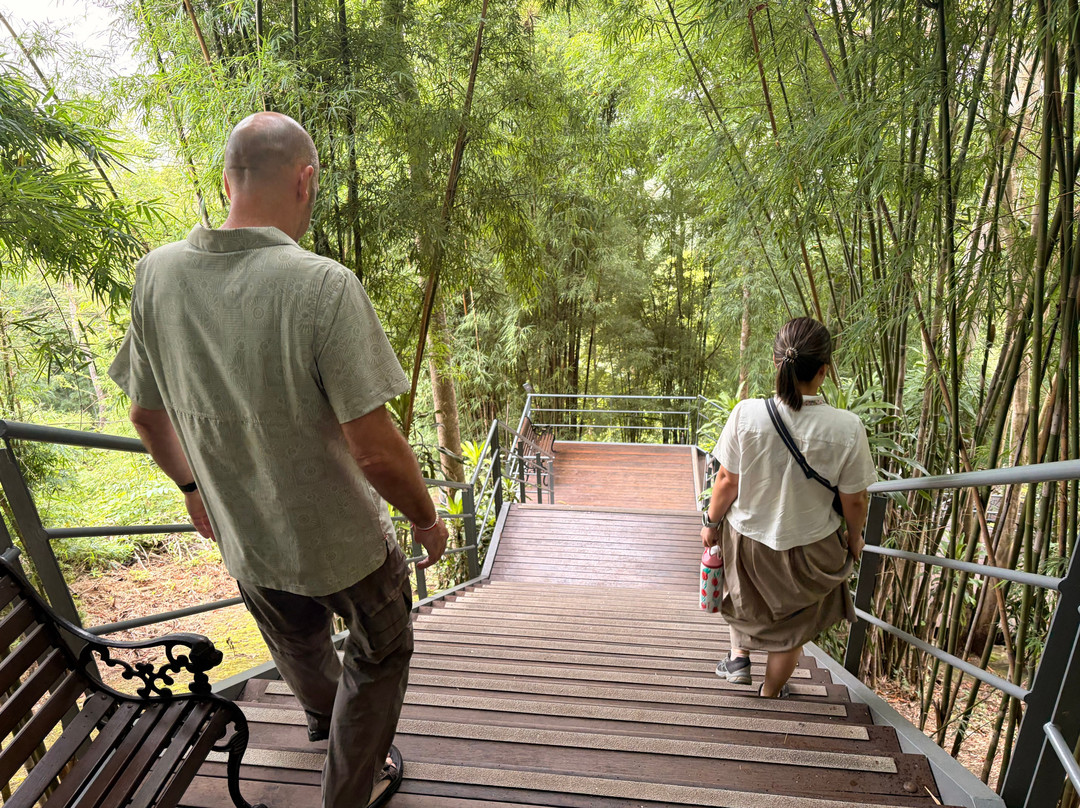 The Thailand-Burma Railway Centre-北碧必去景点