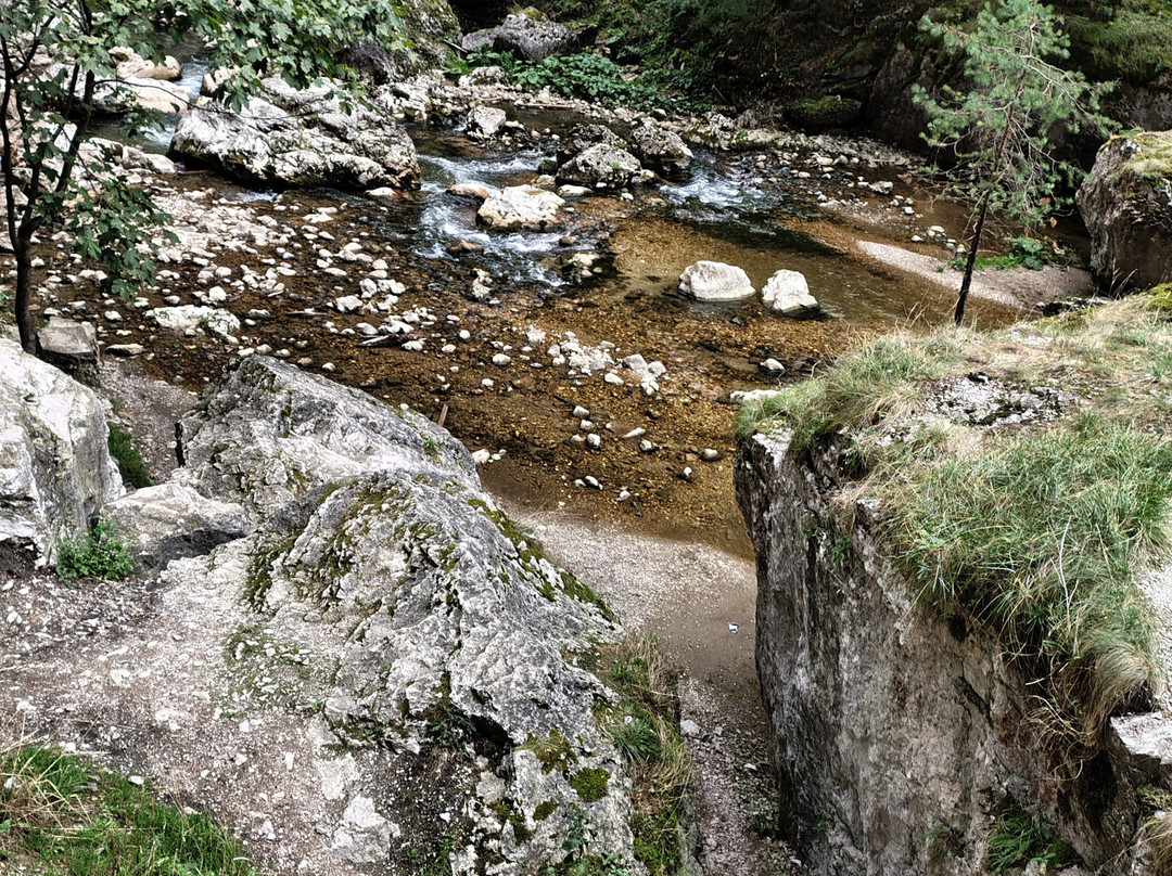 Parcul național Cheile Bicazului-Bicaz-Chei必去景点