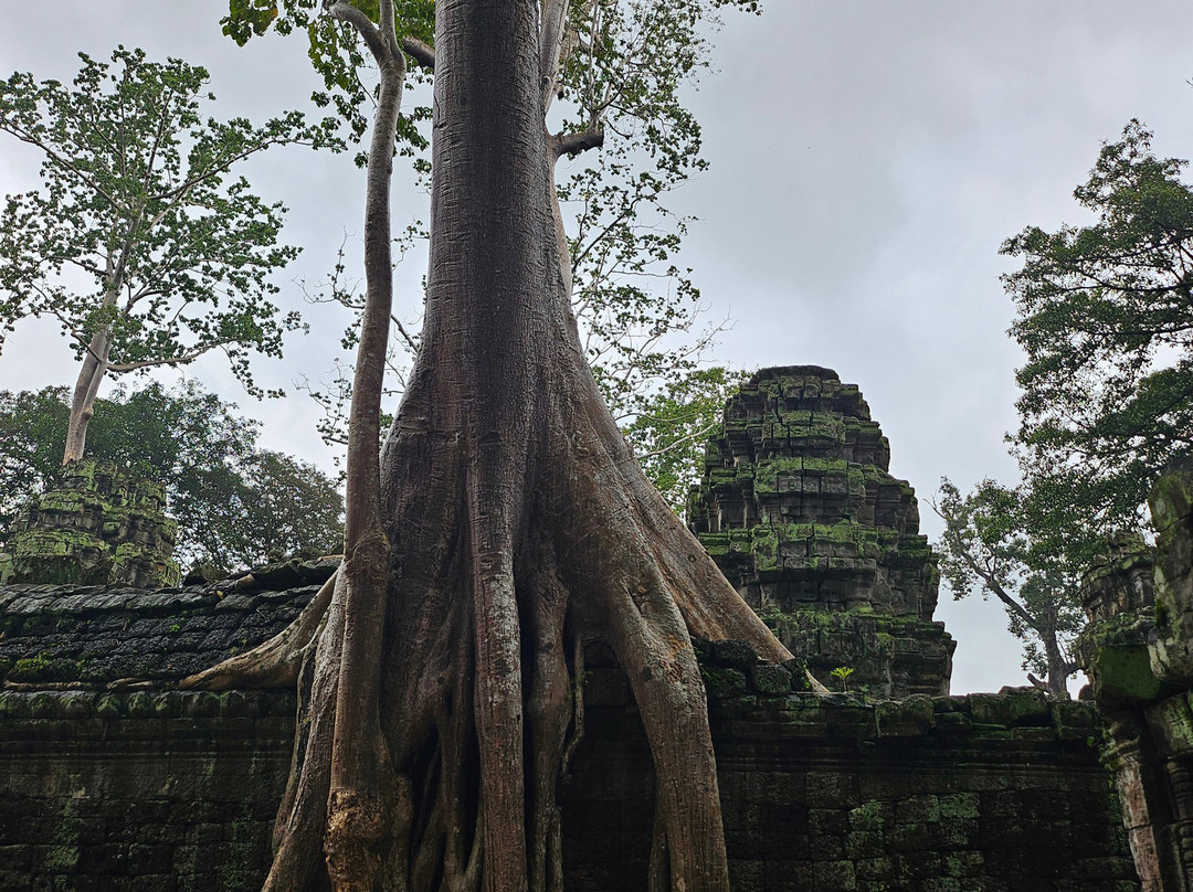 Angkor Wat Tuktuk Driver By Kakada-暹粒必去景点