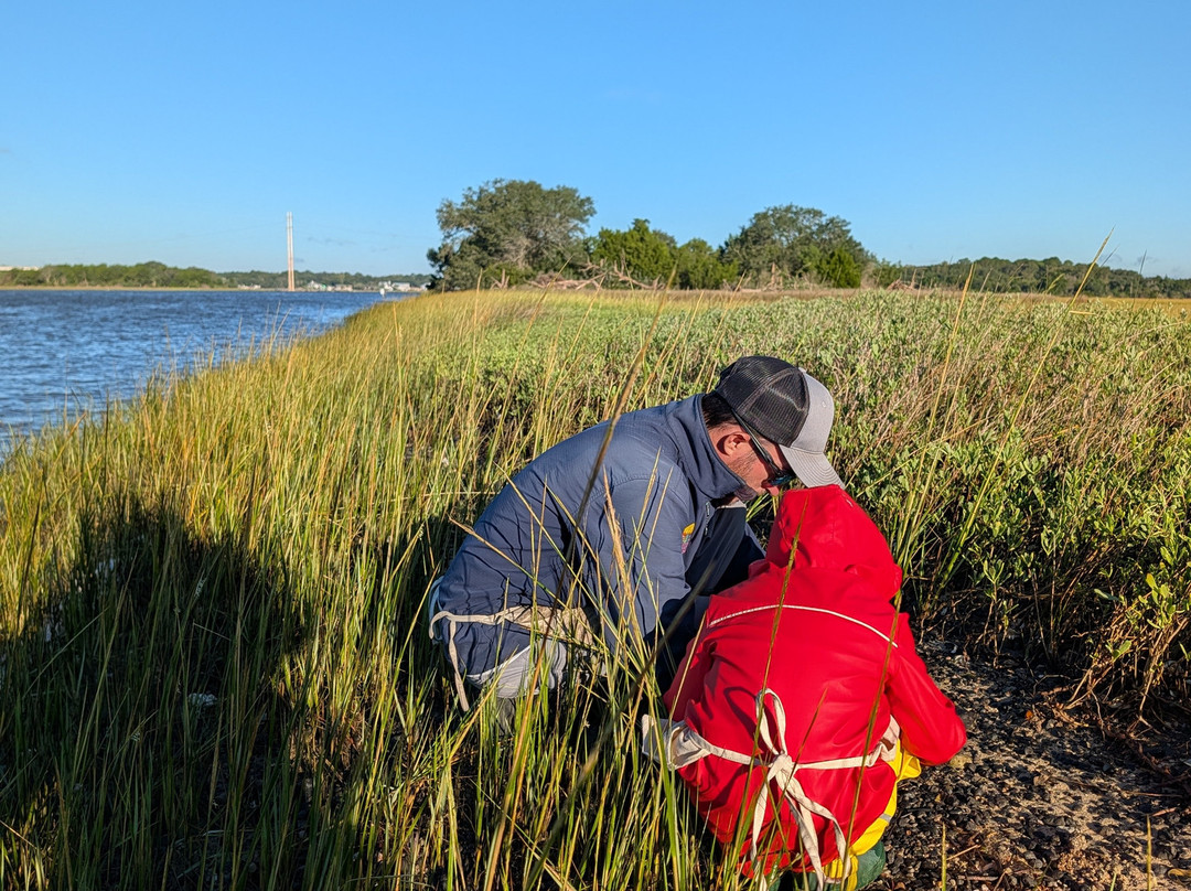 Charleston Fossil Adventures-查尔斯顿必去景点