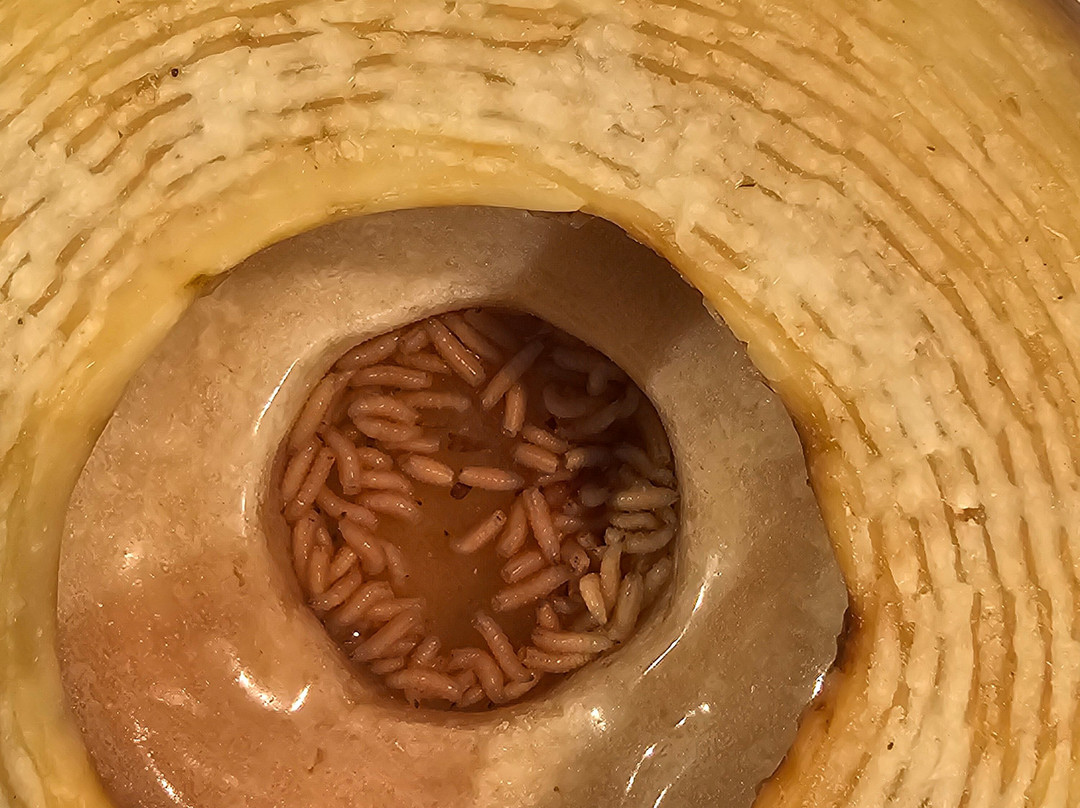 Disgusting Food Museum-马尔默必去景点