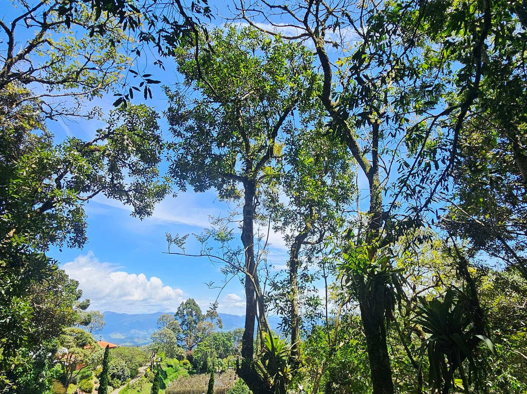 Amantikir Park-坎普斯－杜若尔当必去景点