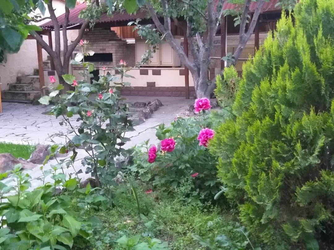 Popock City Center主图