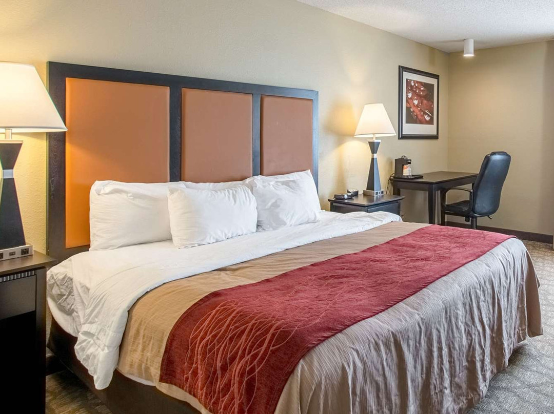 Comfort Inn East主图