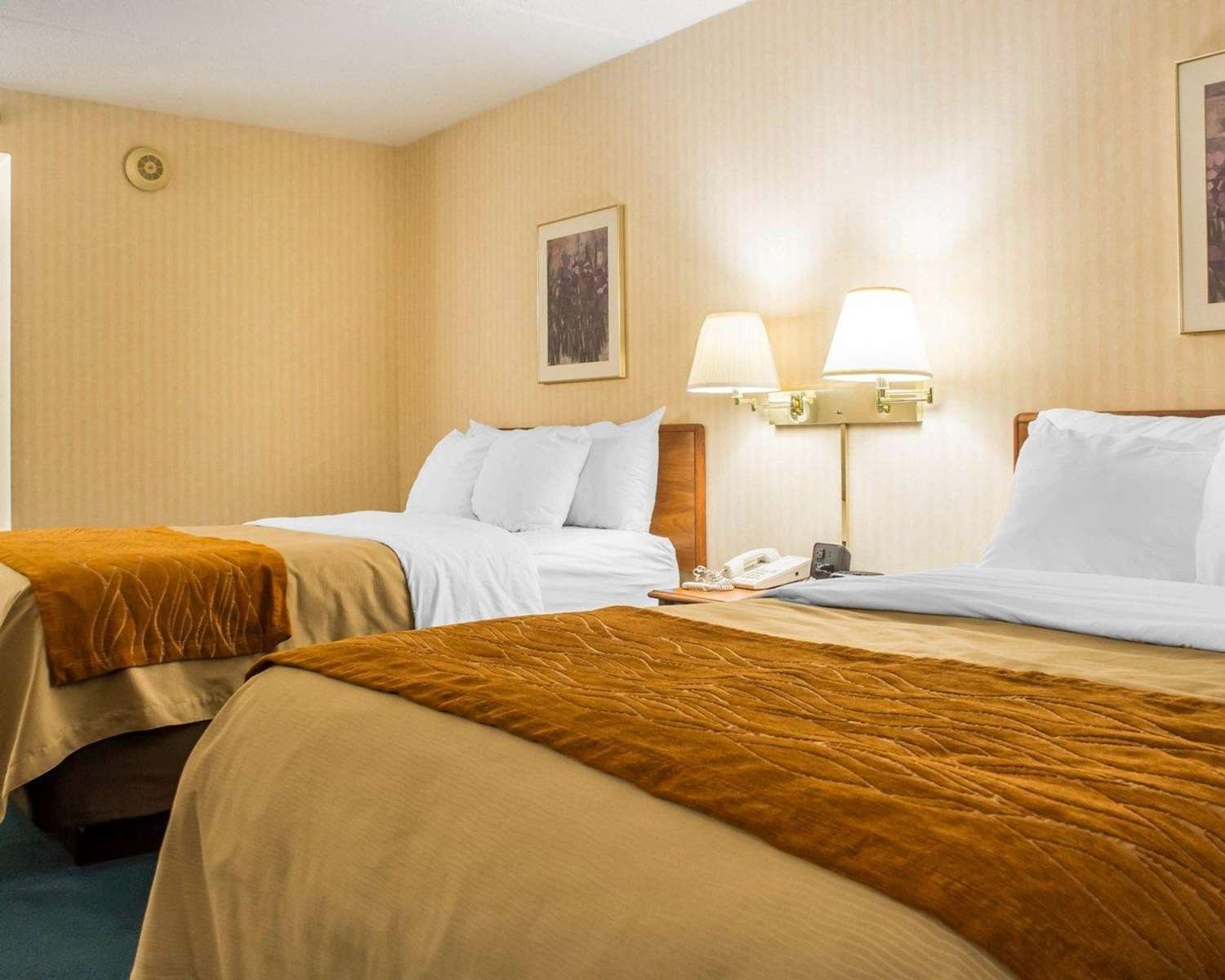 Comfort Inn Binghamton I-81-官方