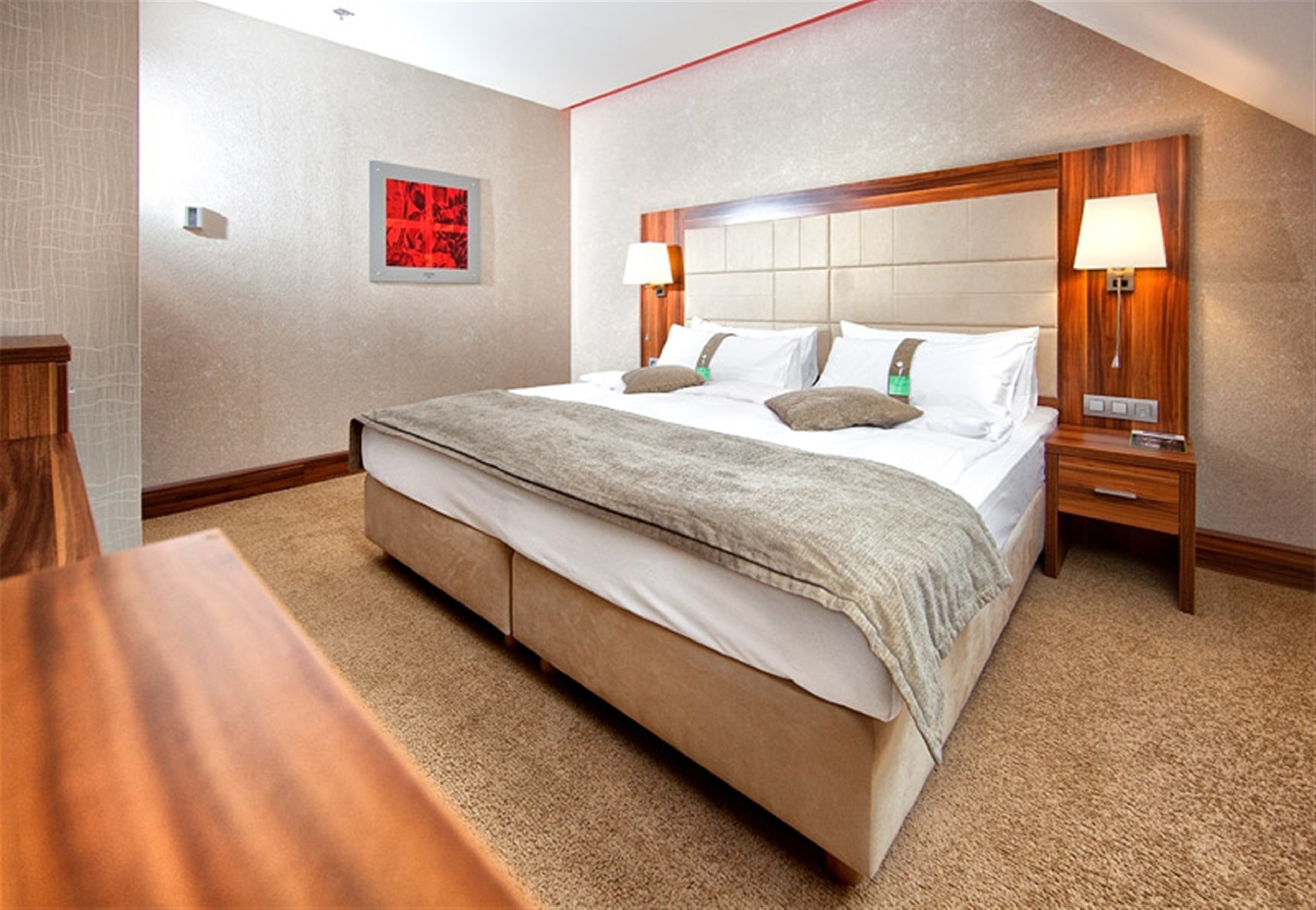 Holiday Inn Trnava By IHG-官方
