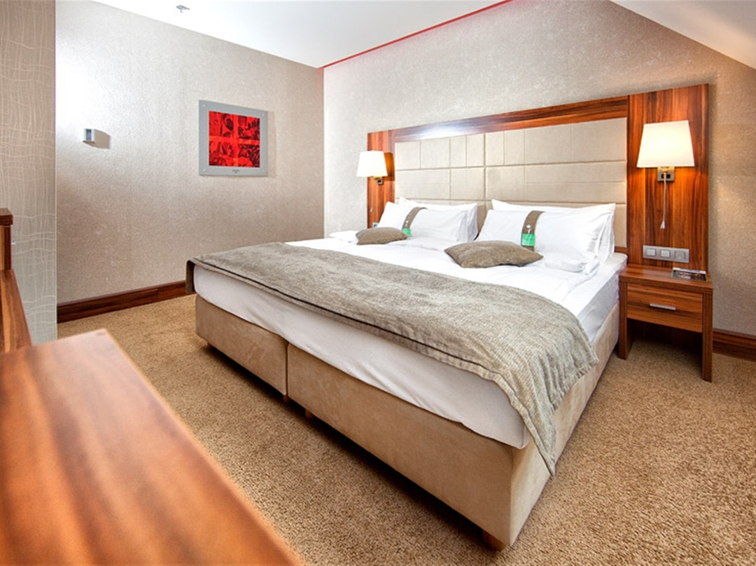 Trnava酒店住宿-Holiday Inn Trnava By Ihg