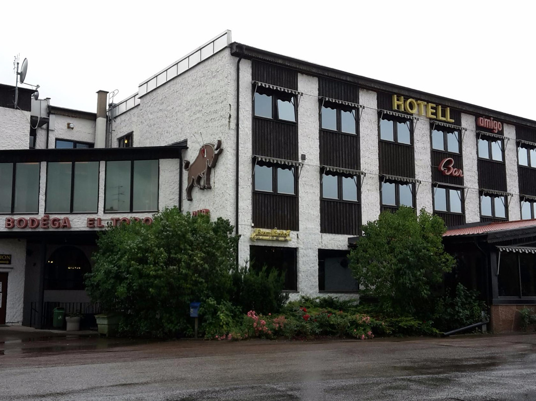 卡尔马省酒店住宿-Hotell Amigo