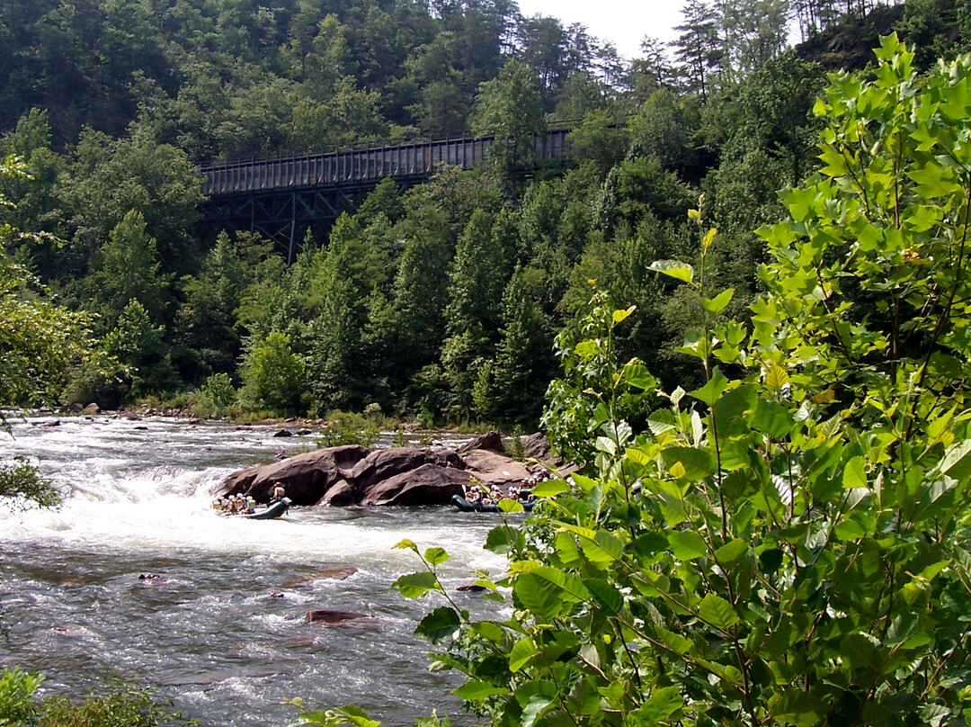 Cherokee National Forest景点图片