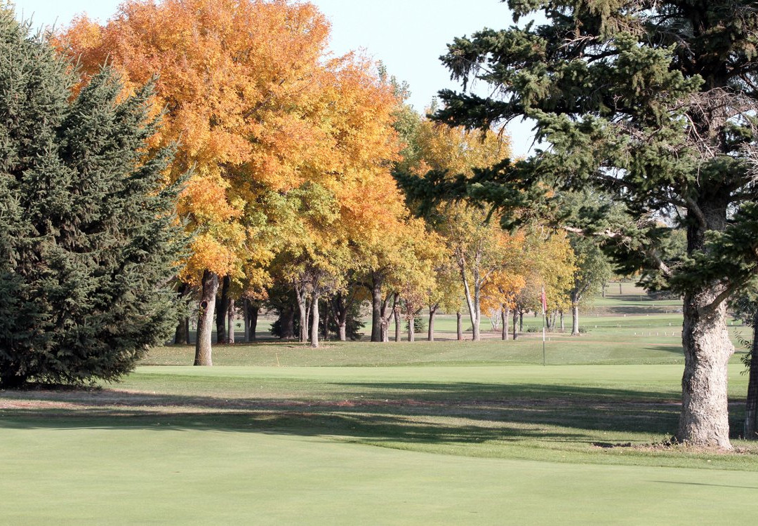 Central Valley Golf Course景点图片
