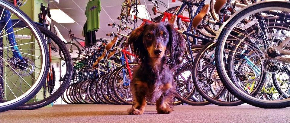 Blimp City Bike and Hike-阿克伦必去景点