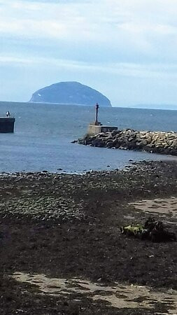 Girvan Harbour景点图片