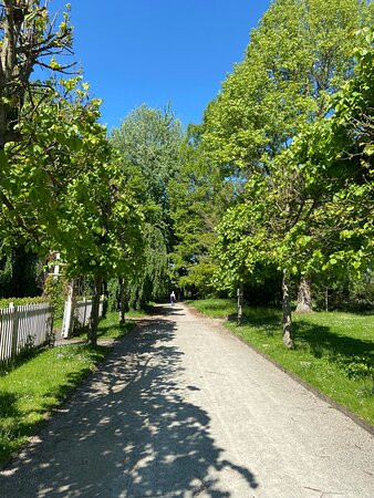 Botanischer Garten Kassel-卡塞尔行政区必去景点