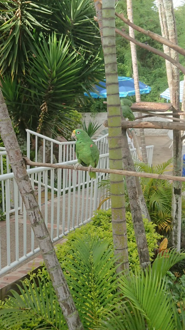 Hotel Villa Amparo-官方