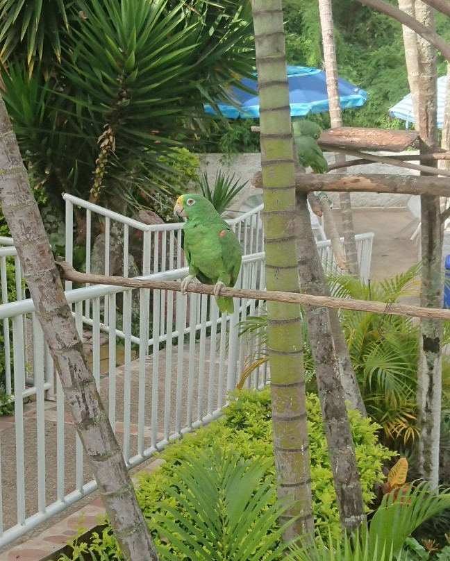 Arbelaez酒店住宿-Hotel Villa Amparo