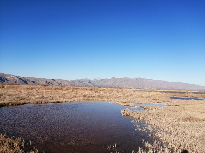 Rio Los Mesquitez-Cuatro Cienegas必去景点