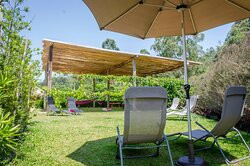 Go Organic Experience主图