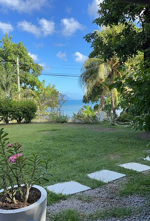 The Beach House主图