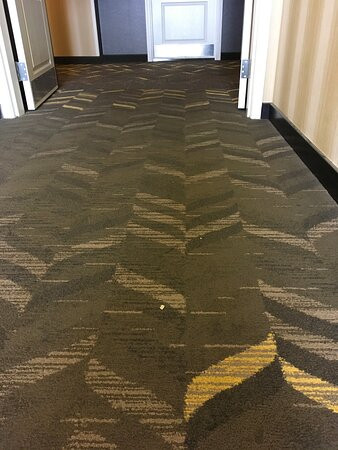 Homewood Suites by Hilton Lexington-Hamburg主图