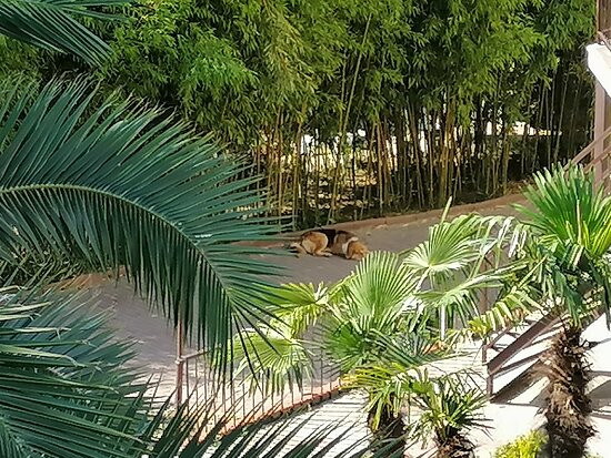 Divny 43°39° Russkiy Dom主图