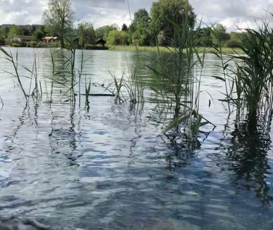 Romantik Hotel de L'Ours主图