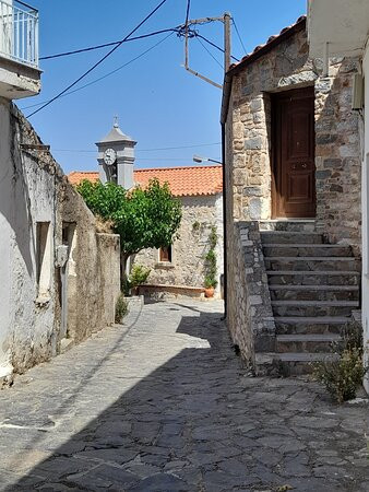 Platanus Tree-Krasi必去景点