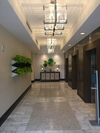 巴顿鲁日万丽酒店主图