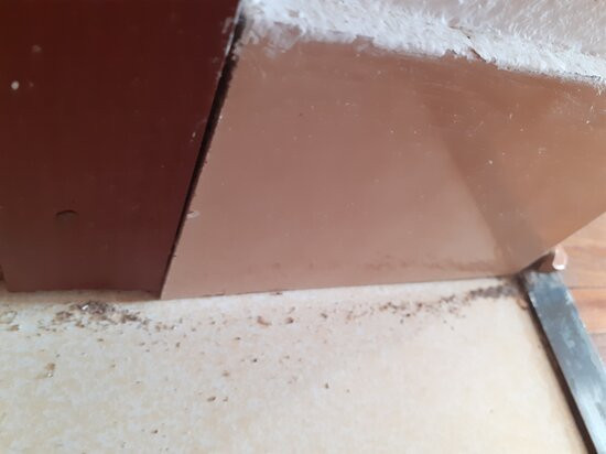 Picic Guesthouse主图