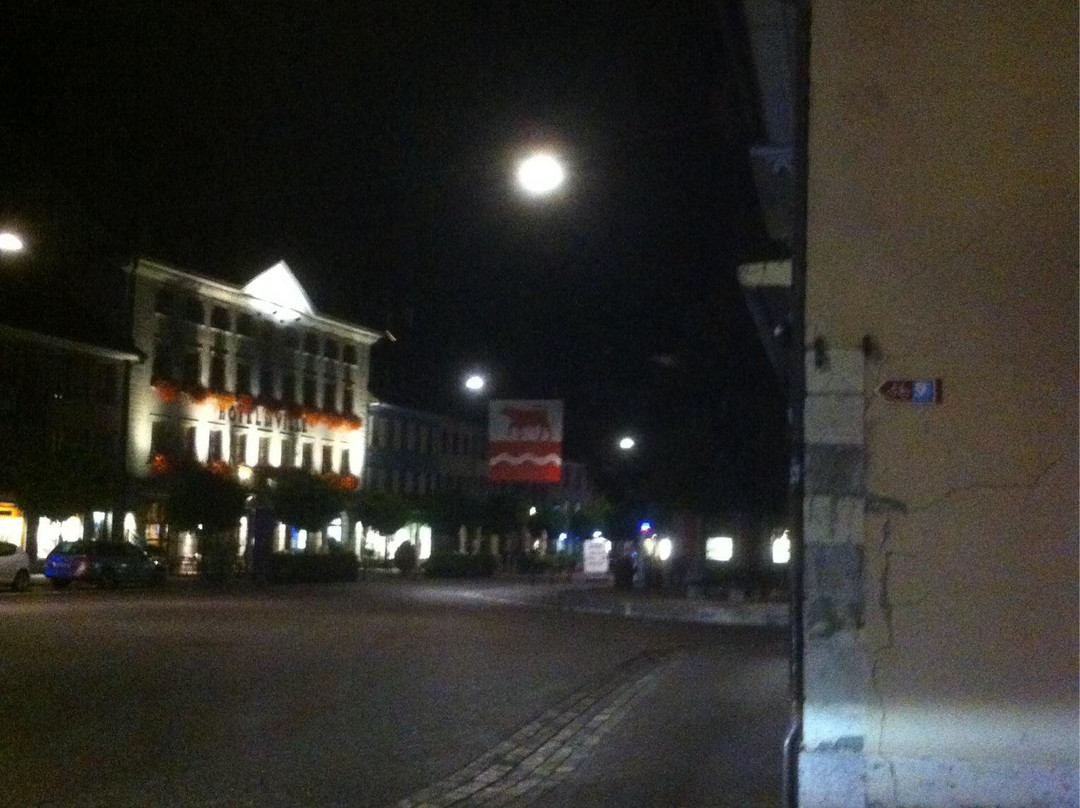 Hotel des Alpes主图