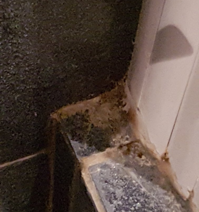 C  the View Guesthouse主图