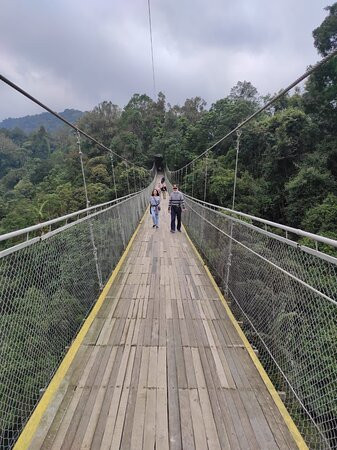 Situ Gunung Suspension Bridge