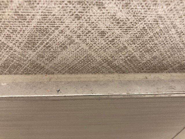 Holiday Inn Express Chicago-downers Grove By IHG主图