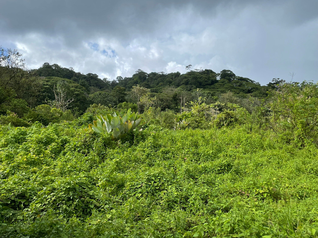 Tinti Wildlife Sanctuary & Permaculture景点图片